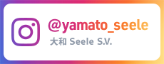 Instagram 大和ゼーレSVアカウント
